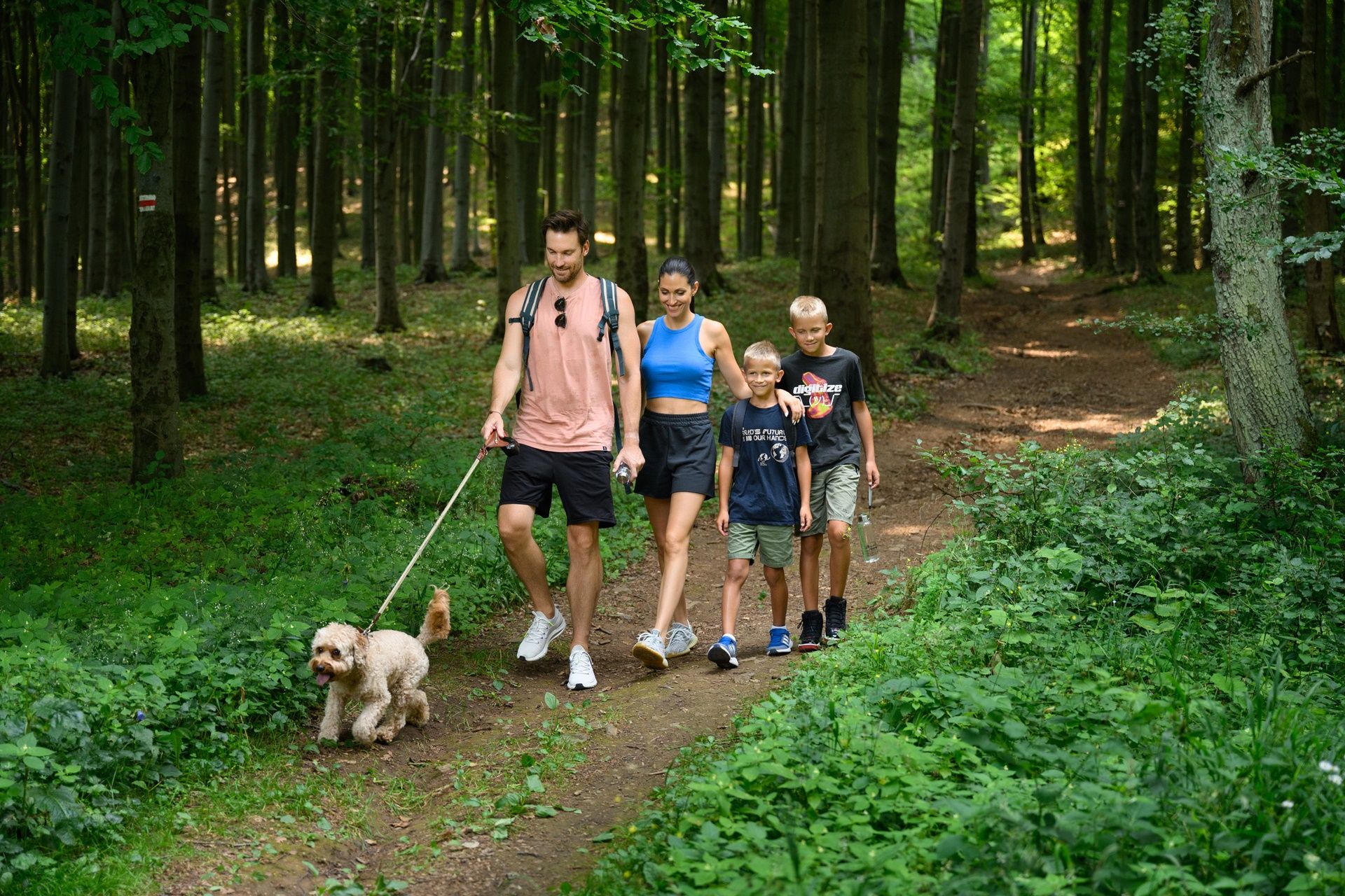 HAMAROSAN: Exkluzív nyári ajánlat!